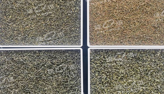 डीएफ कलर सॉर्टर ज़िक्सियांग चाय की गुणवत्ता और दक्षता में सुधार करता है।