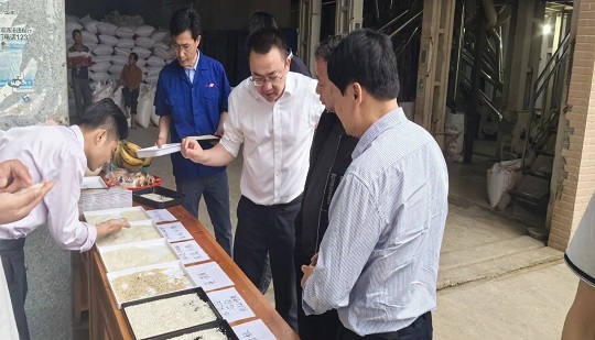 【गुणवत्ता छँटाई साइट】प्रो सीरीज चावल गुणवत्ता छँटाई के लिए ऑन-साइट अनुभव कार्यक्रम नए उत्पादों को गुआंग्शी में सफलतापूर्वक आयोजित किया गया था!
